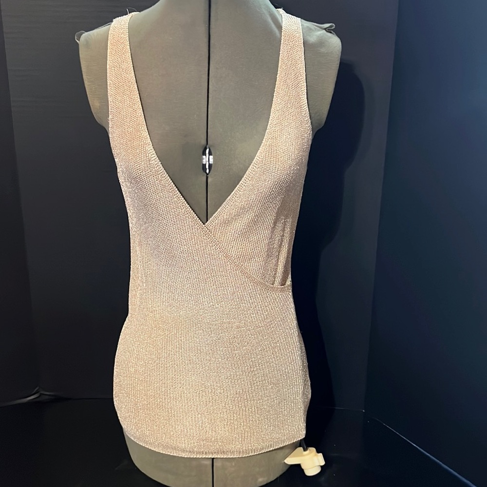 Beautiful shiny sleeveless sweater. Small.